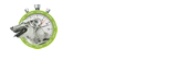 Tessa Timer